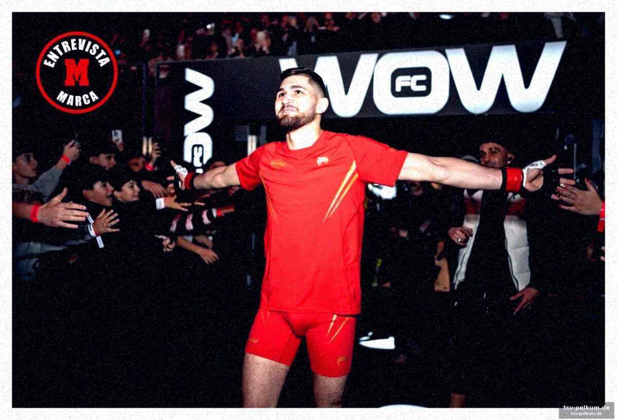 Die mma-welt: mehr als nur ein sport