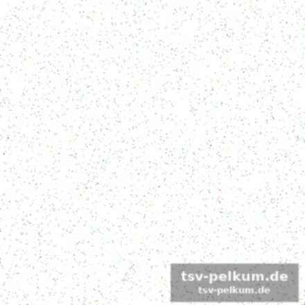 Vergangenheit als lehre für die zukunft