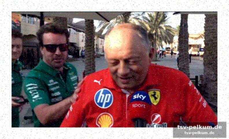 Red bull mit neuem motor: horner überzeugt