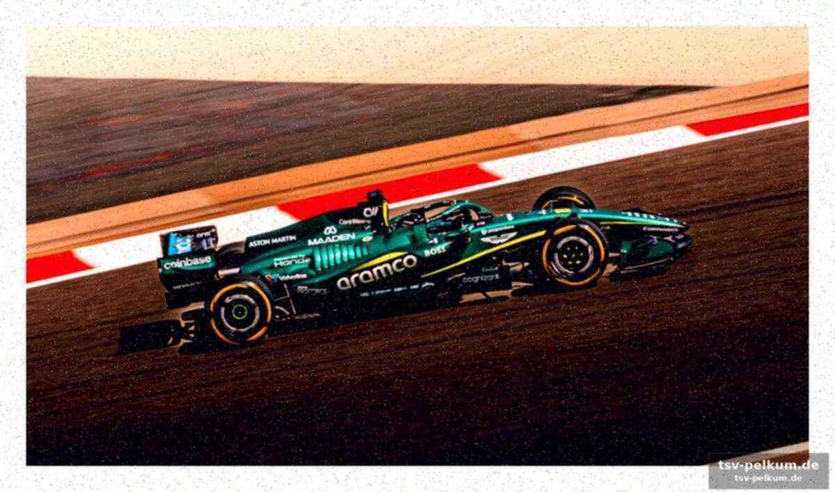 Fokus auf sainz und alonso