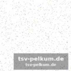 Die top 10 im überblick