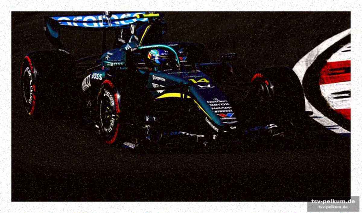 Alonso: „zehn rennen des leidens“