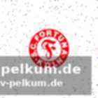 Trainer mink lobt die qualitäten von galjen