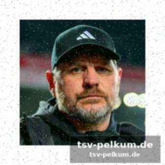 Stimmen zum spiel