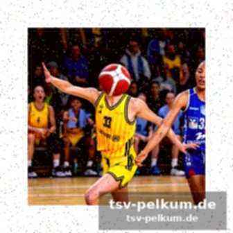 Der traum von der nba