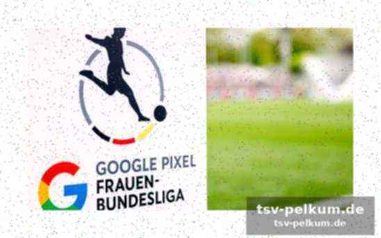 Die position des fbl e.v.
