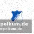 Intensive phase für die adlerträgerinnen