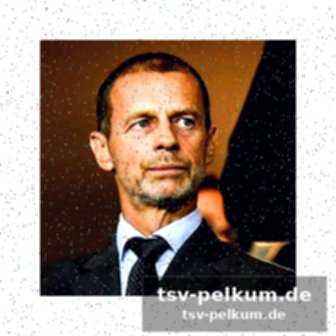 Die rolle der fbl e.v.
