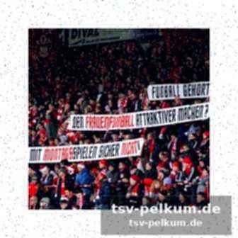 Die rolle der neuen fbl e.v.