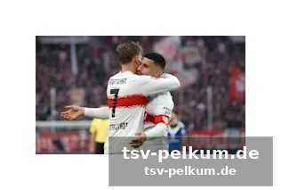 Vfb stuttgart im aufwind und dfb-stars im glanzlicht