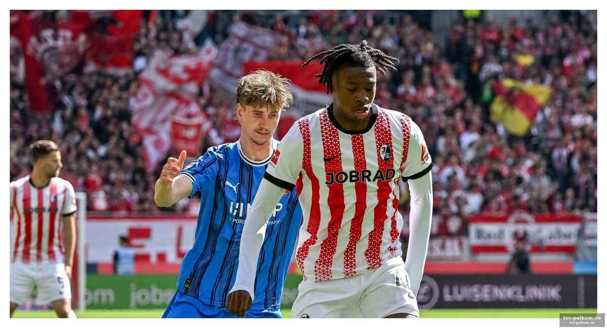 Die europa league-euphorie trügt: schuster fordert konzentration