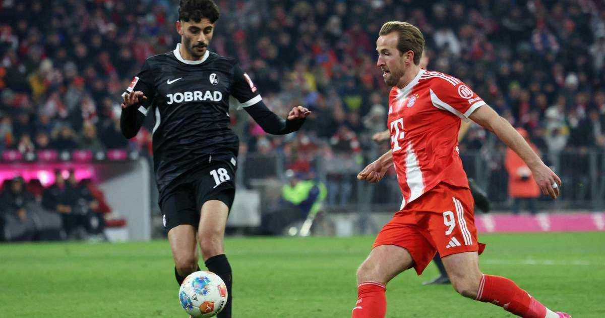 Freiburg und heidenheim suchen lebensretter für cinja!