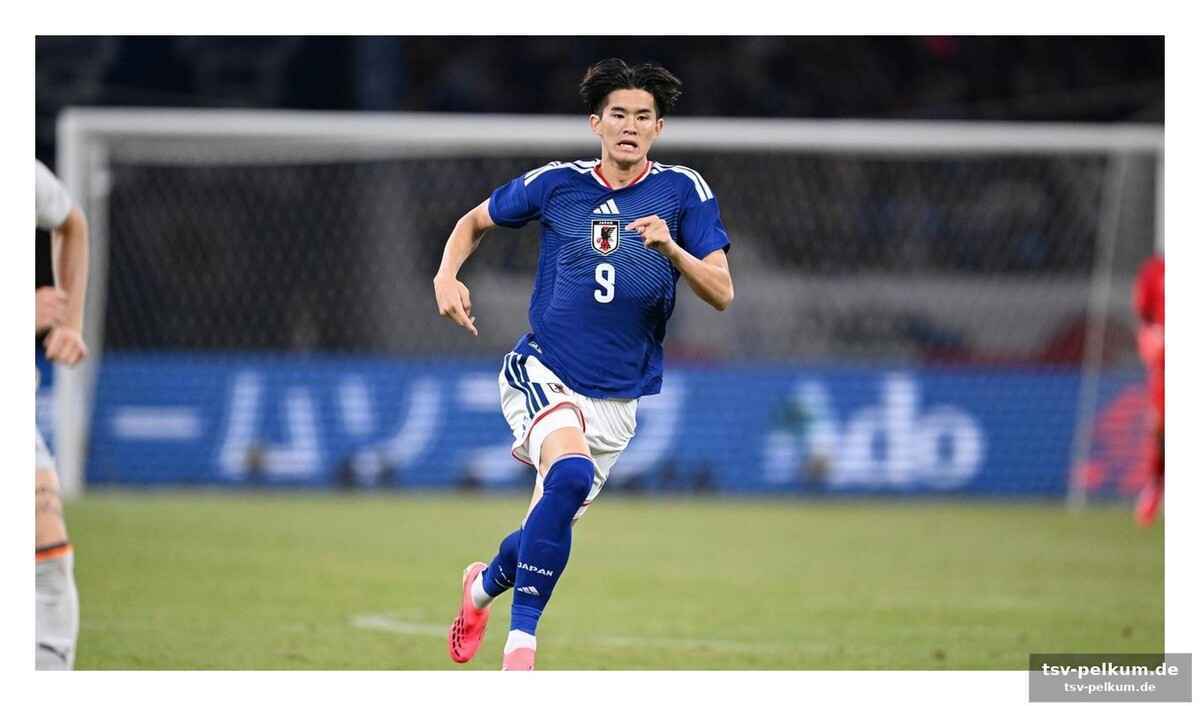 Hoffenheim holt dulic und verstärkt sich mit talenten