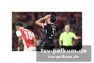 Live im tv: so sehen sie das spiel