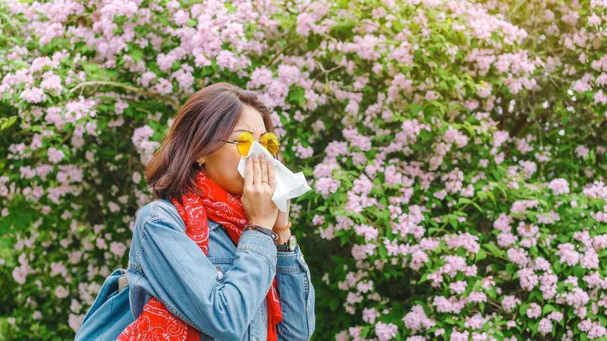 Frühling kommt früh: pollenalarm in italien!
