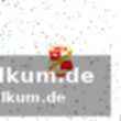 Erfahrung aus der bundesliga und schottland