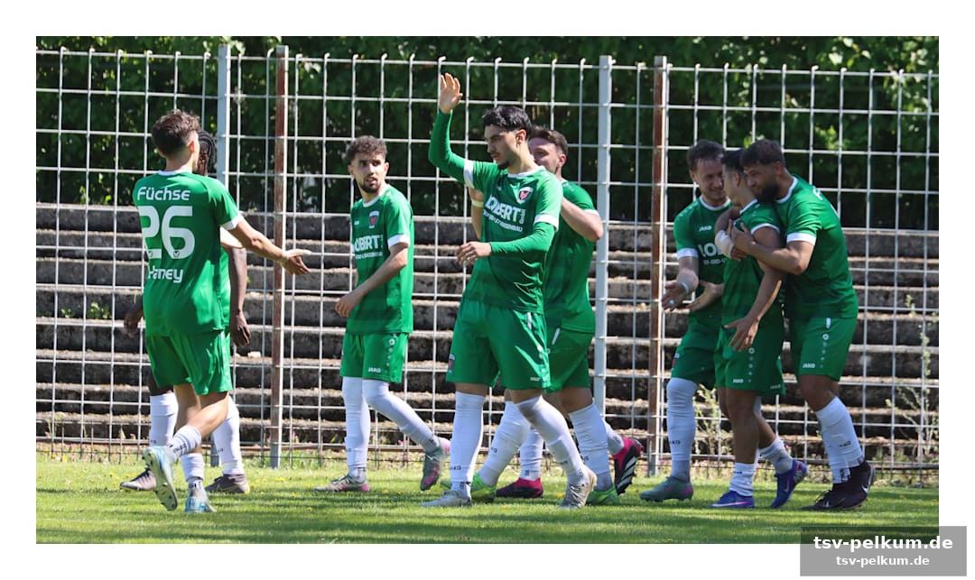 Ein verein, viele stars