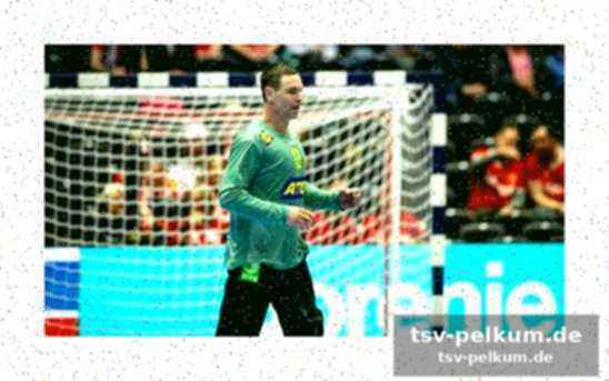 Palicka mit bundesliga-erfahrung