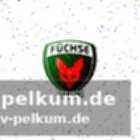 Champions league als großes ziel – konkurrenzkampf in der bundesliga