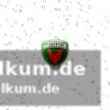 Die bedeutung des gruppensiegs