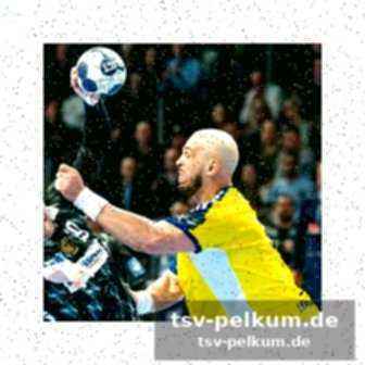 Viertelfinale bereits sicher