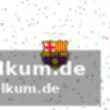 Zimmerpartner und teamrituale