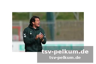 Werder bremen: die große chance für eine rückkehr?