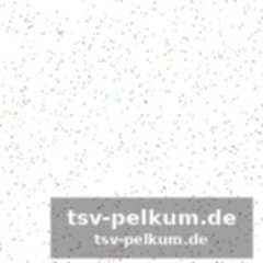 Warum bologna flog und roma stolperte