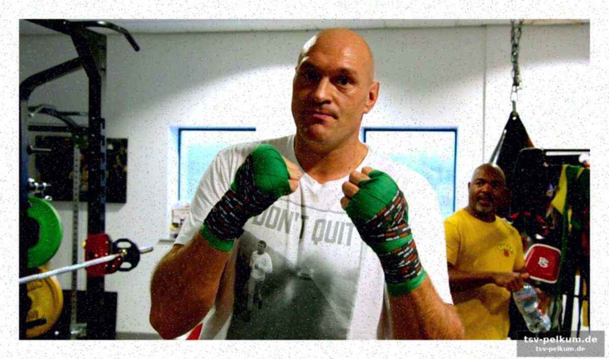 Der bär und der boxer: eine ungewöhnliche vorbereitung
