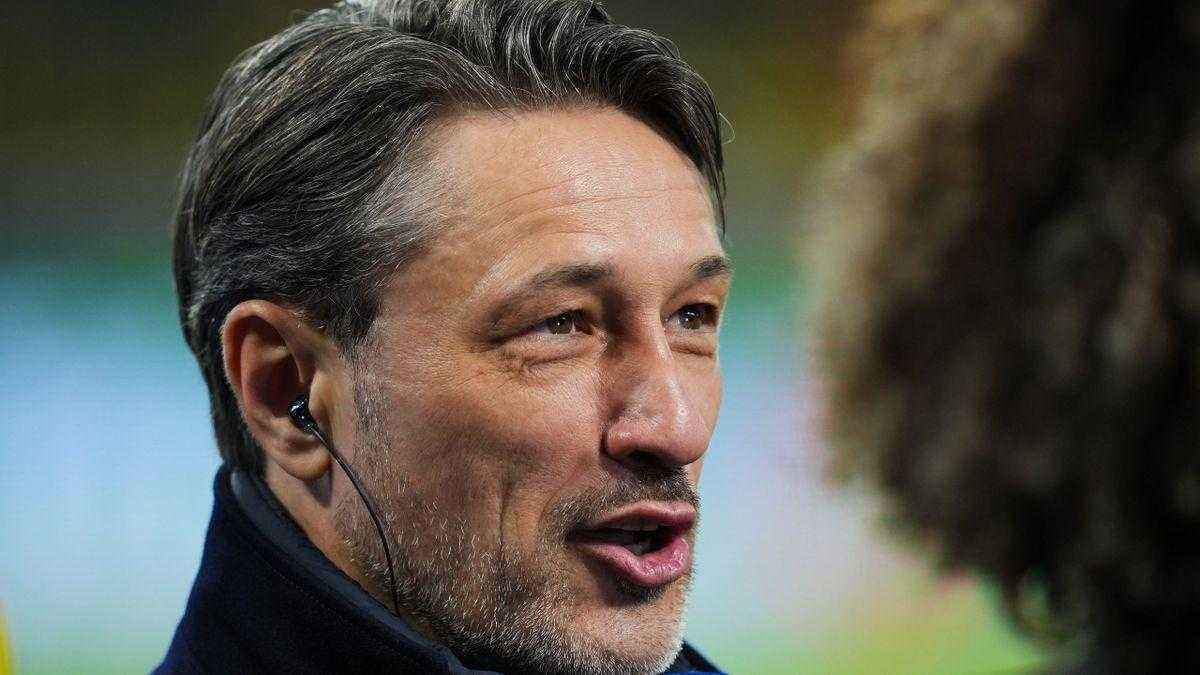 Fußballheld rettet möwe: aufstieg gerückt in hintergrund