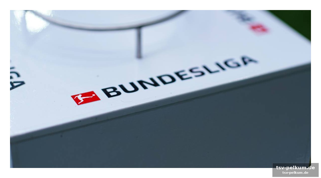 Die entscheidung des lizenzierungsausschusses