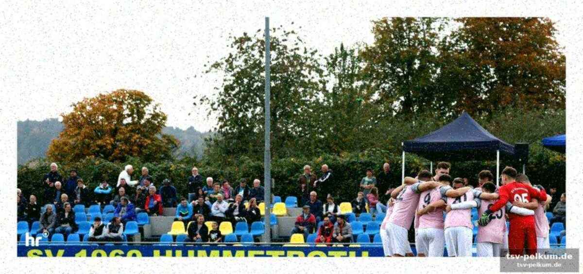 Sasan tabibs weg und der sv pars