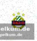 Trainer-roulette ohne kompass