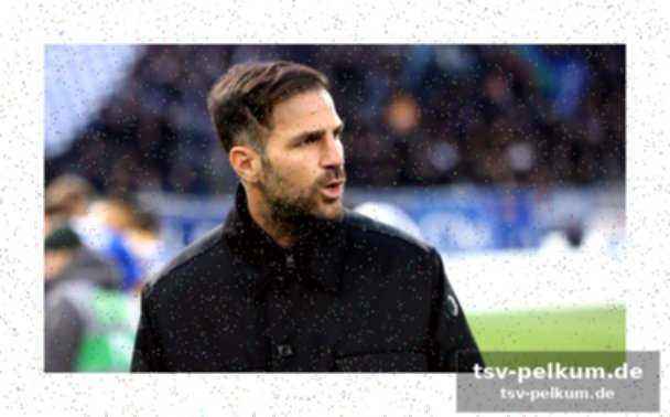 Fairness als lehrstück – fabregas gibt den lehrer