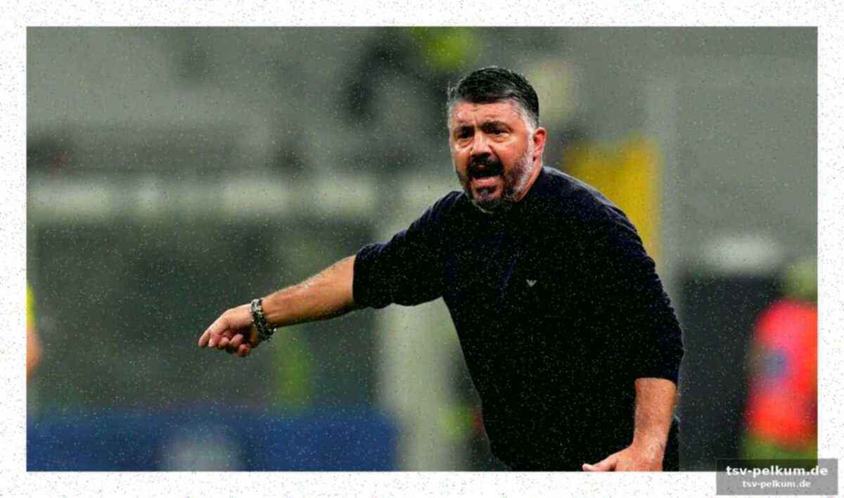 Was gattuso wirklich über nordirland denkt