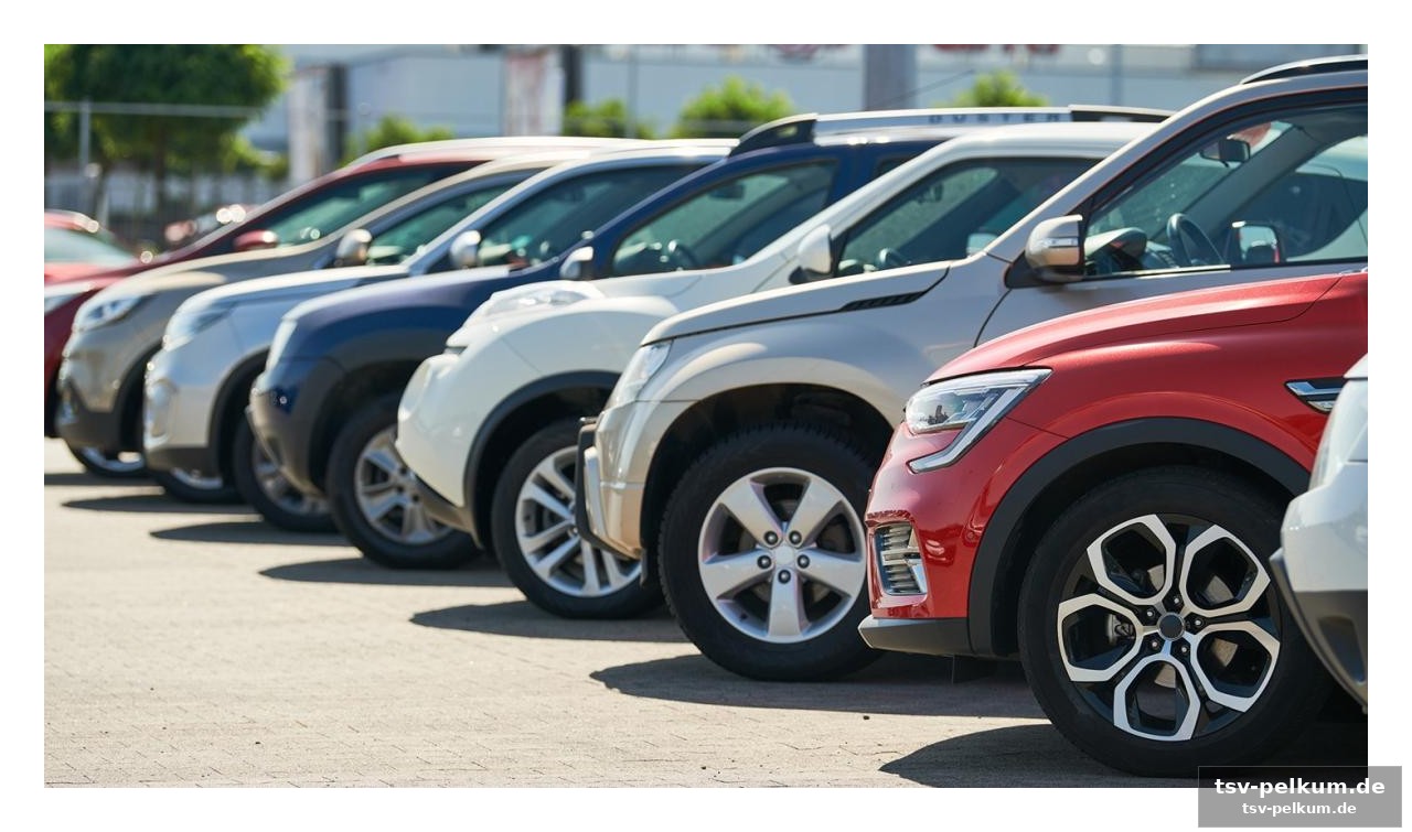 Diesel und benziner halten sich, e-mobilität gewinnt langsam