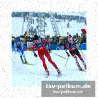Curler verabschieden sich mit sieg