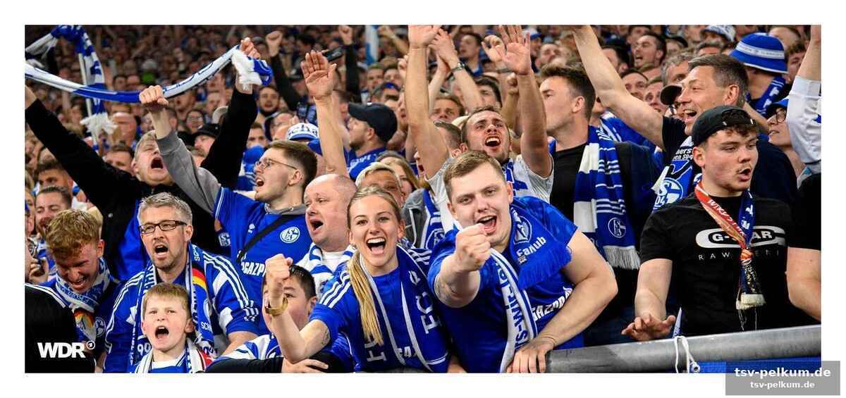 Elektrisierende stimmung: schalke-fans verwandeln die stadt