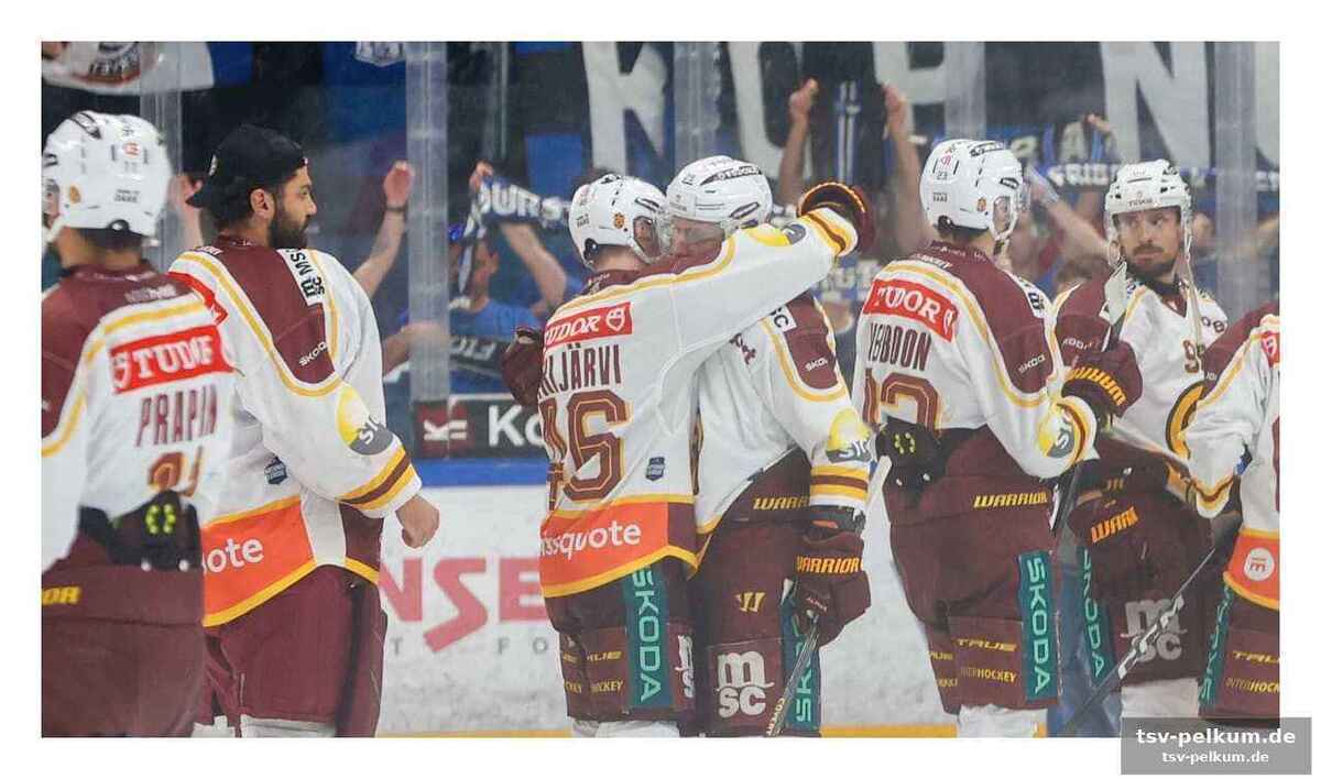 Zsc lions