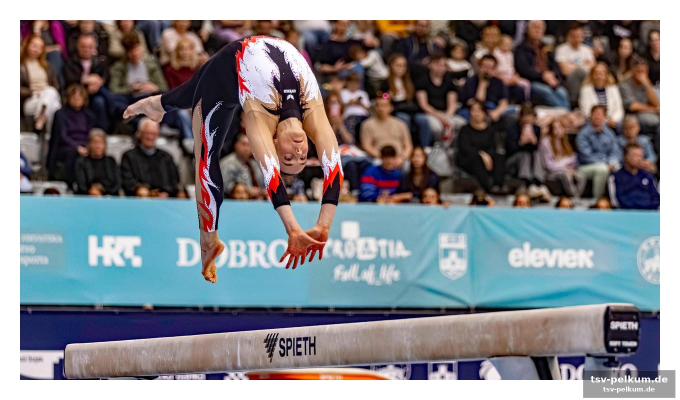 Die finals in hannover: zeitplan und regeln