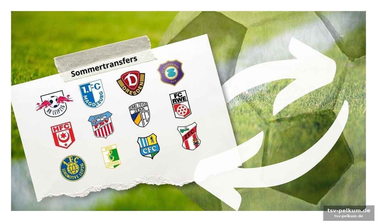Weitere transfer-news aus der region: aue holt lihsek, erfurt sichert dreca