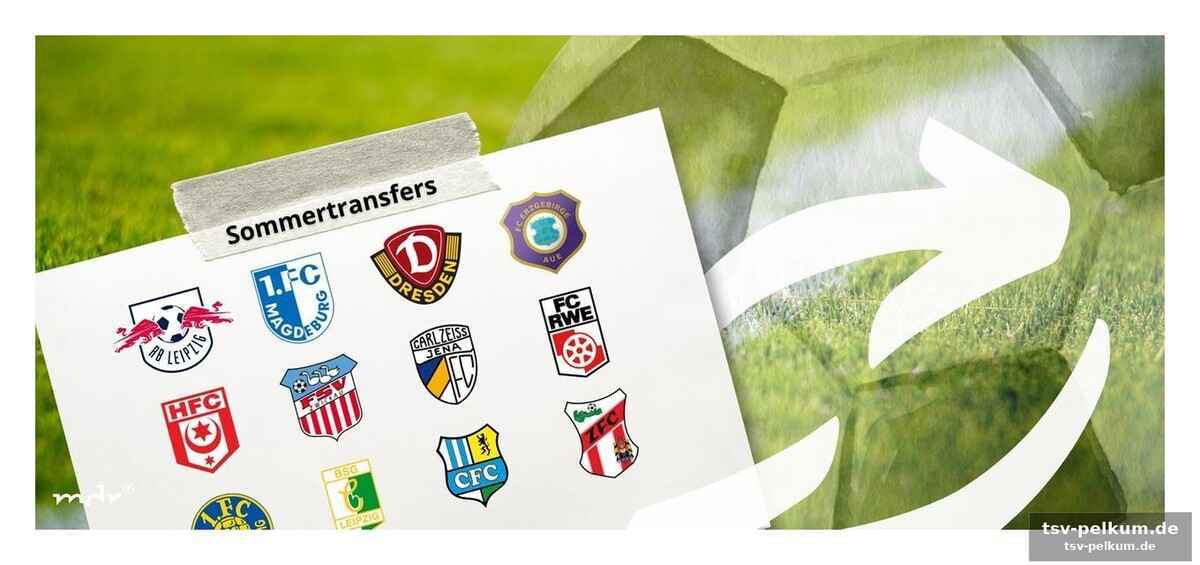Weitere transfer-news aus der region