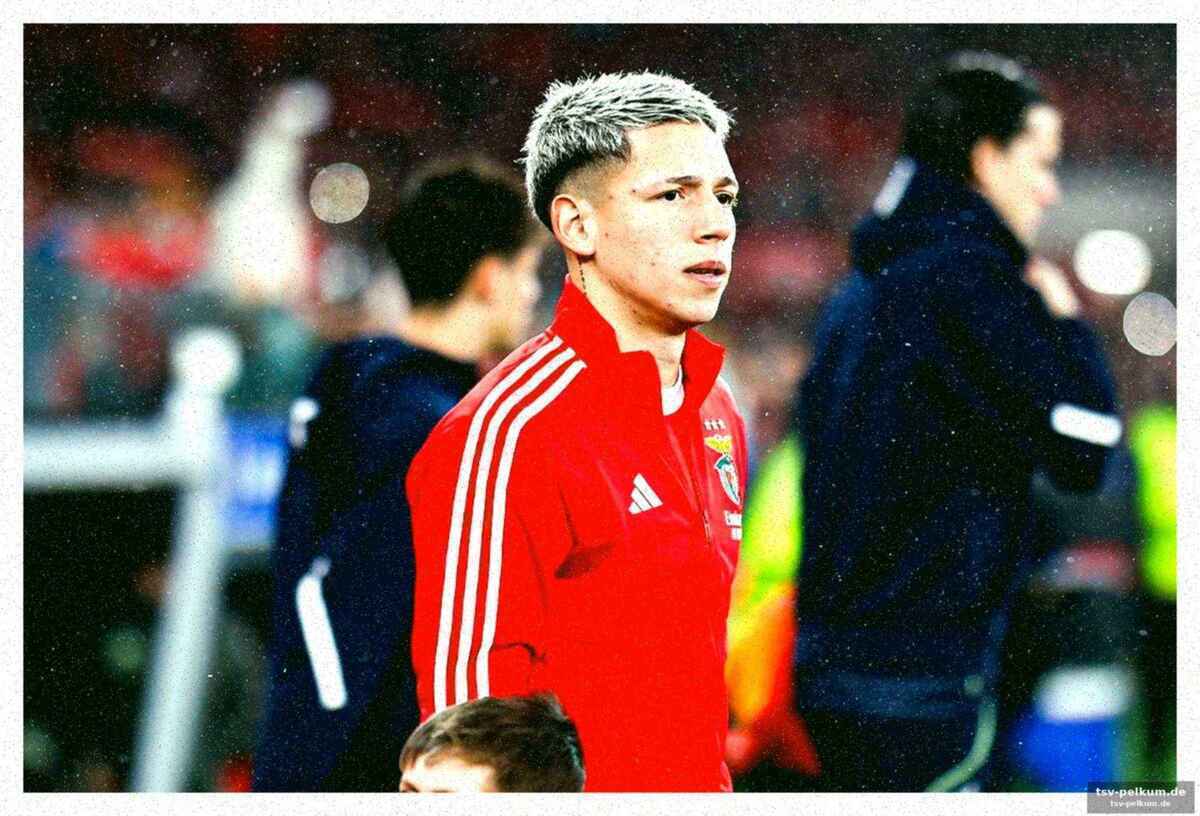 Die argentinische nationalmannschaft und der weg nach oben