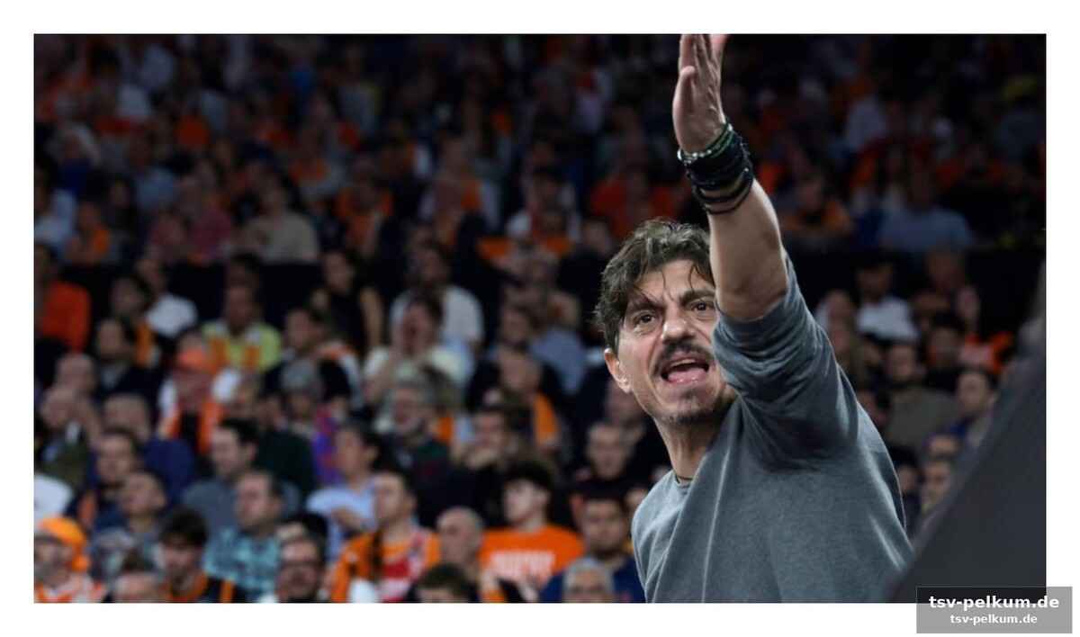 Euroliga reagiert: normenkatalog soll missbrauch verhindern