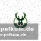 „Eine siegerkultur“