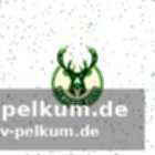 Die sportliche realität der bucks