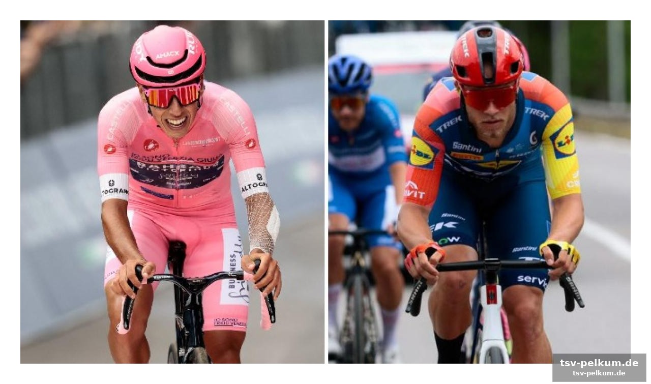 Die top-performer: gall, magnier und eulalio im aufwind