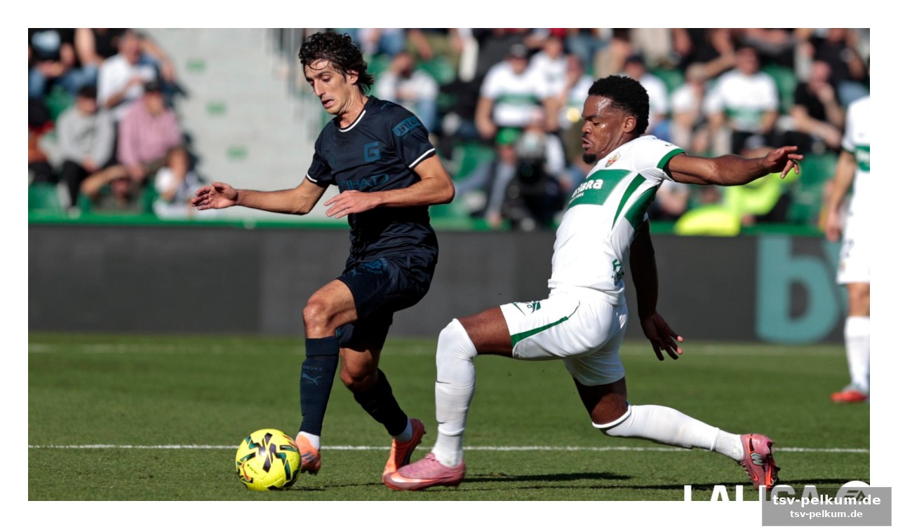 Elche mit dem vorteil: stabilität und erfahrung