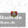 Die zukunftsmarschroute: der lucky punch