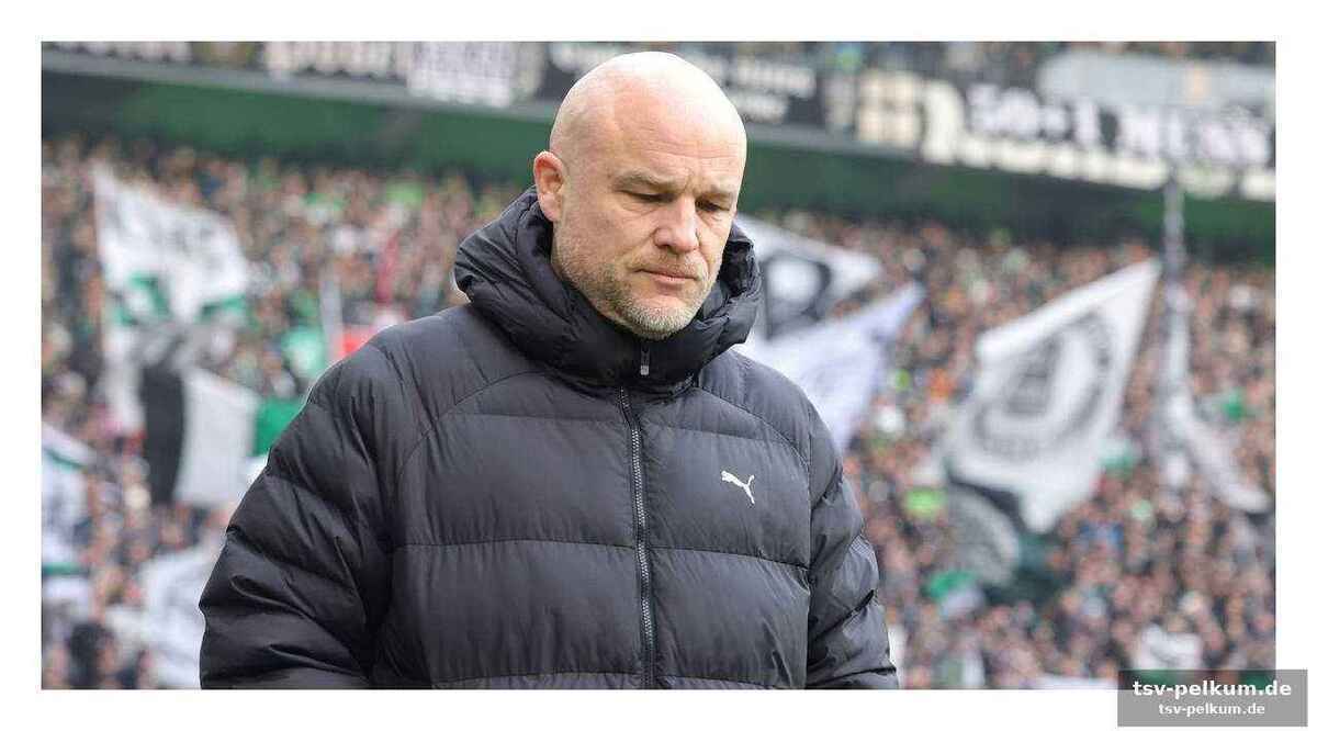 Die fans im fokus des kampfes